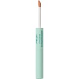 Payot Pâte Grise Stylo Duo Purifiant Correcteur korektor za prekrivanje i redukciju nepravilnosti 2x3 ml | shoptok.hr