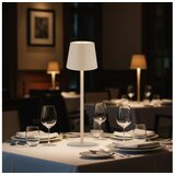 Globo 58438S - LED prigušiva dodirna spoljašnja lampa VANNIE LED/3W/3,7V IP44 | Eponuda.com