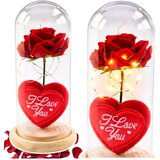 Eternal Rose in Dome with LED Lighting Red with Heart 18.5x8cm | Shoptok.si