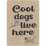 David Fussenegger Odeja za hišne ljubljenčke "cool dogs live here" - 1 kos. Cene
