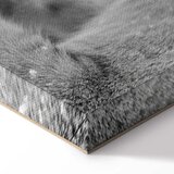  Slika - Lion\'s Love 90x60 Akustična | shoptok.hr