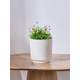 Sinsay Ukrasna umjetna biljka | shoptok.hr