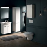Laufen H8201500000001 Pro Nordic viseča brezrobna WC školjka | Shoptok.si