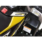 Ramiz Električni štirikolesnik Performance 48V 1000w 35km/h – zelena | Shoptok.si
