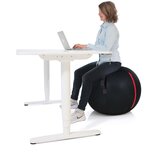 Gymstick GS OFFICE BALL 75CM, (21150938) | Shoptok.si