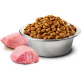 Pro Nutrition hrana za pse na razmer Prestige Dog - Medium Puppy 1kg | ePonuda.com