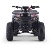 Beneo Otroški štirikolesnik za otroke WARRIOR rdeče barve - 125cc | Shoptok.si