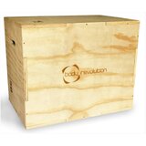 Monster Lesena pliometrična škatla, (5000278650) | Shoptok.si