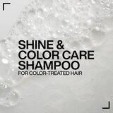 Redken Acidic Color Gloss osvetljevalni šampon za barvane lase 500 ml | Shoptok.si