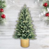 Olimp Sport Novogodišnja jelka u saksiji - 90 cm | ePonuda.com