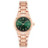 ANNE KLEIN ženski analogni ručni sat 10/5490gnrg Cene