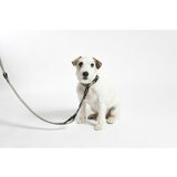 MiaCara Tamno sivi ogrlica S/M dužina 32 cm Modena Asphalt S/SM – | shoptok.hr