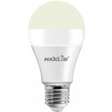MAX-LED LED žarnica - sijalka E27 10W (60W) 825lm nevtralno bela 4500K | Shoptok.si