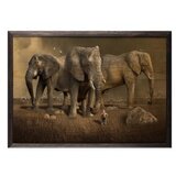 Wallity slika elephant horde, 50 x 70 cm | ePonuda.com