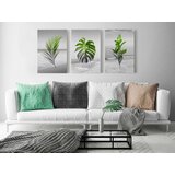  Slika - Plants (Collection) 60x30 | shoptok.hr