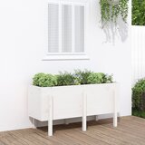 vidaXL Vrtna visoka greda bela 121x50x57 cm trdna borovina Cene