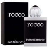 Roccobarocco Rocco Black 100 ml toaletna voda za moške Cijene