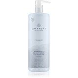Paul Mitchell Awapuhi Wild Ginger Hydrasoft Conditioner 1000 ml regenerator suha kosa unisex | shoptok.hr