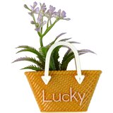  Lutka za igru Emily za modnu reviju sa torbom Lucky - 30 cm | Shoptok.si