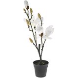 Diker HOME Veštačka magnolija u saksiji 50 cm bela | Eponuda.com