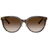 Tiffany naočare za sunce tf 4243D 81343B | ePonuda.com