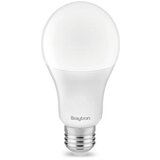 Braytron BRY ADVANCE 13W E27 A65 6500K LED SIJALICA Cene