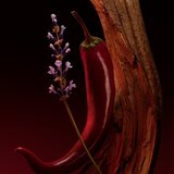 Boss The Scent Elixir 50 ml parfum za moške | Shoptok.si