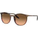 Ray-ban Naočare za sunce RB 2204 13953B Cene