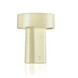 Zone Svijetlo zelena plastična LED stolna lampa (visina 18 cm) Oblong – u
