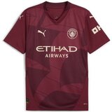  Muški Nogometni Dres Kratkih Rukava Puma Mcfc Third Jersey Replica | shoptok.hr