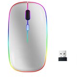 INF Brezžična miška z RGB LED dvojnim načinom Bluetooth/Wifi Silver, (21274865) | Shoptok.si