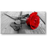  Slike na platnu cvetje panorama KV115E13 (moderne slike na) | shoptok.hr