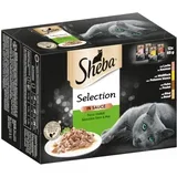 Multi pakiranje vrečke 12 x 85 g - Selection in Sauce fina raznolikost