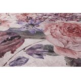 Conceptum Hypnose tepih za hodnik 80 x 150 Mu149 - puder | Eponuda.com