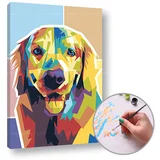  Slikanje po številkah GOLDEN RETRIEVER | nizka težavnost | nizka težavnost
