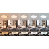 Greentech Plafonjera 18 W CCT 3000-3500-4000-5000-6500 K 22 cm bijela | shoptok.hr