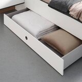 Premium Living Posteljni Predal Leo -Exklusiv- | Shoptok.si