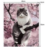 Maaleo slikanje po brojevima mačka, platno na drvenom okviru 40 x 50 cm | shoptok.hr