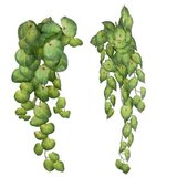  CVIJEĆE PENDANT 80 CM PVC Cijene