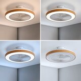 Brilagi LED prigušiva plafonski ventilator LED/38W/230V 50 cm bela/smeđa + daljinski upravljač | Eponuda.com