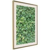  Poster - Hidden 20x30 | shoptok.hr