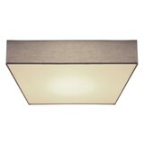 Globo 15585D3 - led plafonska svetiljka sanna LED/40W/230V 3000/4000/6000K | Eponuda.com