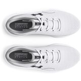 Under Armour Men's shoes Charged Surge 4 | ePonuda.com
