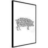  Poster - Curly Pig 20x30 Cijene