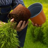  Lonac za cvijeće 50 pcs Keramika Ø 15 x 12.5 cm Plastika | shoptok.hr