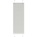 vidaXL Plisirana roleta svijetlosiva 40x100 cm širina tkanine | shoptok.hr