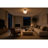 Brilagi Plafonsko svetlo PEBBLES 1xE27/40W/230V Ø 20 cm crna | Eponuda.com
