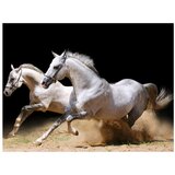  Tapeta - Galloping horses on the sand 200x154 | shoptok.hr