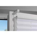 Homeware PLISE pol prosojno 90/130 cm | Shoptok.si