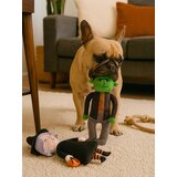Sinsay Igračke za pse s halloween motivom 2 kom. | shoptok.hr
